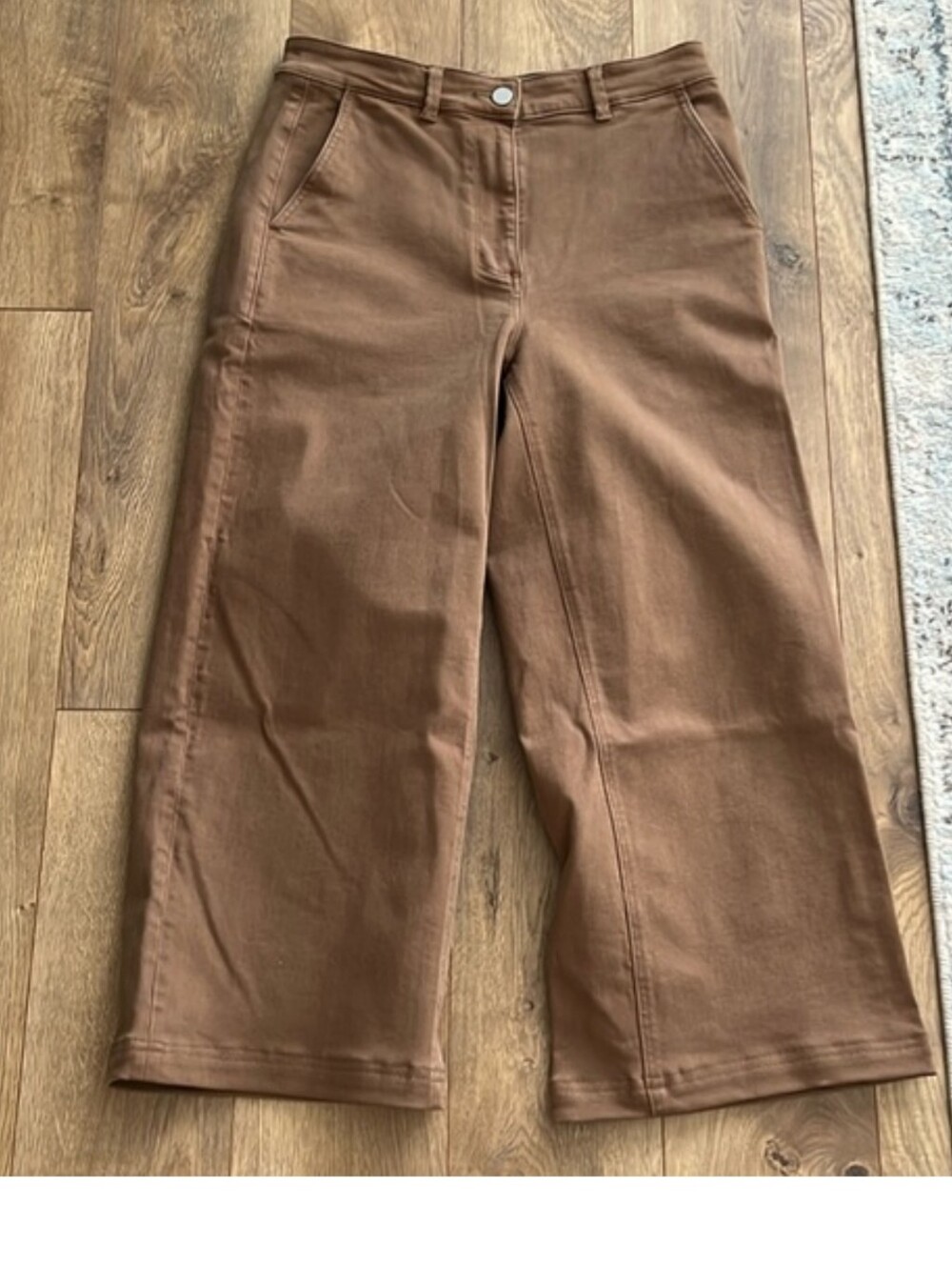 Everlane Wide Leg Crop Pants in Brown 10
